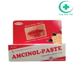 Amcinol - Paste Mekophar - Thuốc điều trị viêm da hay chàm